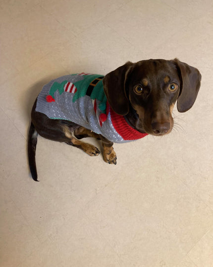 Gray Dog Christmas Sweater