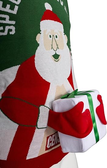 Special Delivery Santa Claus 3D Gift Sweater