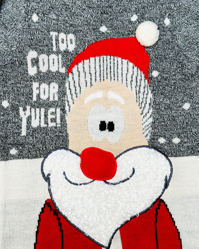 Vintage Too Cool Santa Christmas Sweater for Accessories