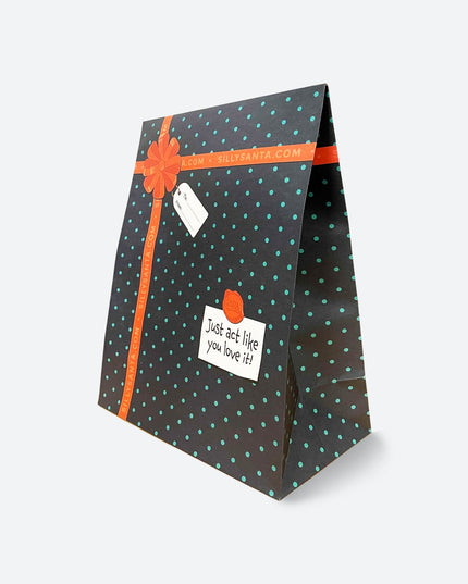 Gift Bag for Sweater or Pajamas