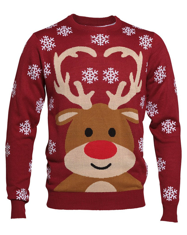 Cute Reindeer Christmas Sweater - Kids' Holiday Apparel