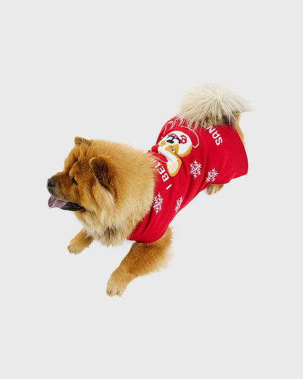 Santa Paws Christmas Sweater - Pets