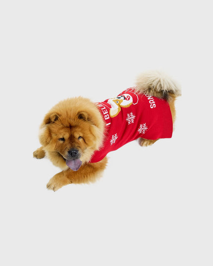 Santa Paws Christmas Sweater - Pets