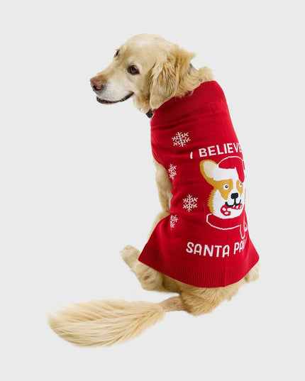 Santa Paws Christmas Sweater - Pets