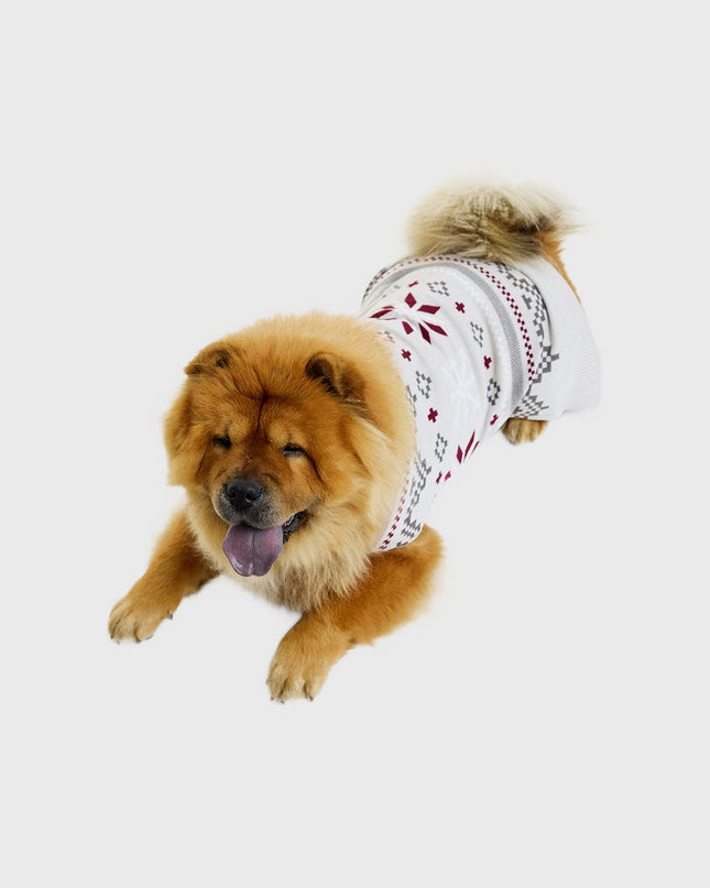 Fancy Dog Christmas Sweater