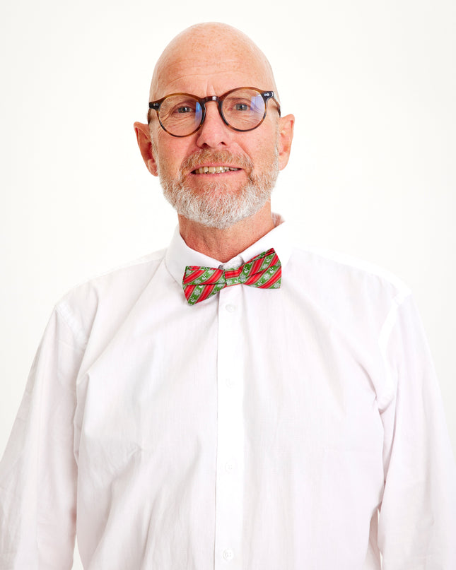 Christmas Tree Butterfly