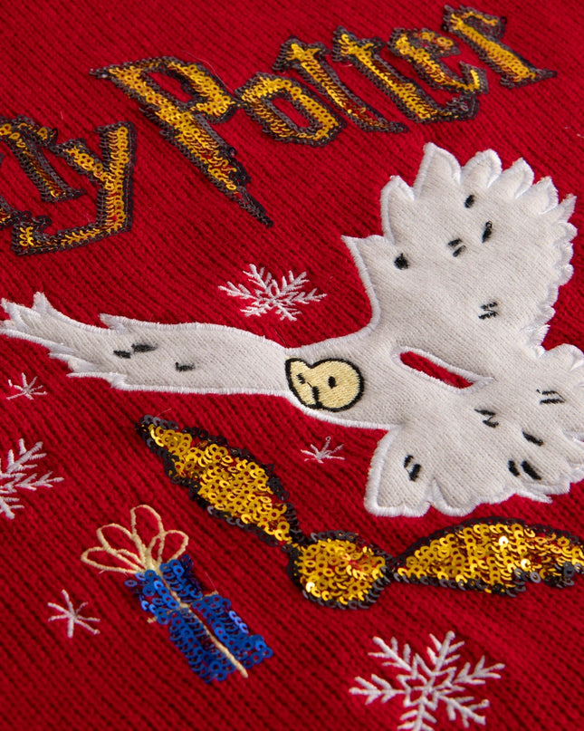 Kids' Harry Potter Christmas Sweater