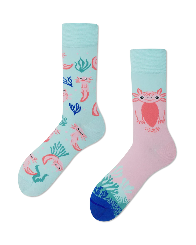 Many Mornings Socks - Axolotl Adventure
