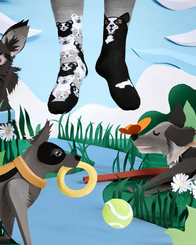 Many Mornings Socks - Black Dog Design