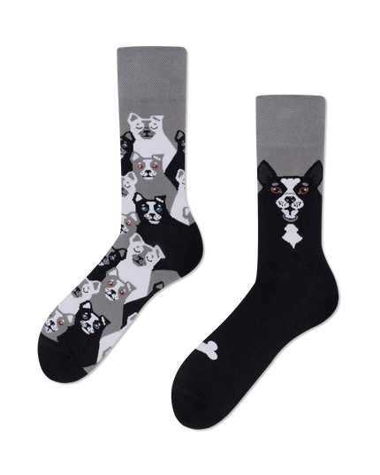 Many Mornings Socks - Black Dog Design