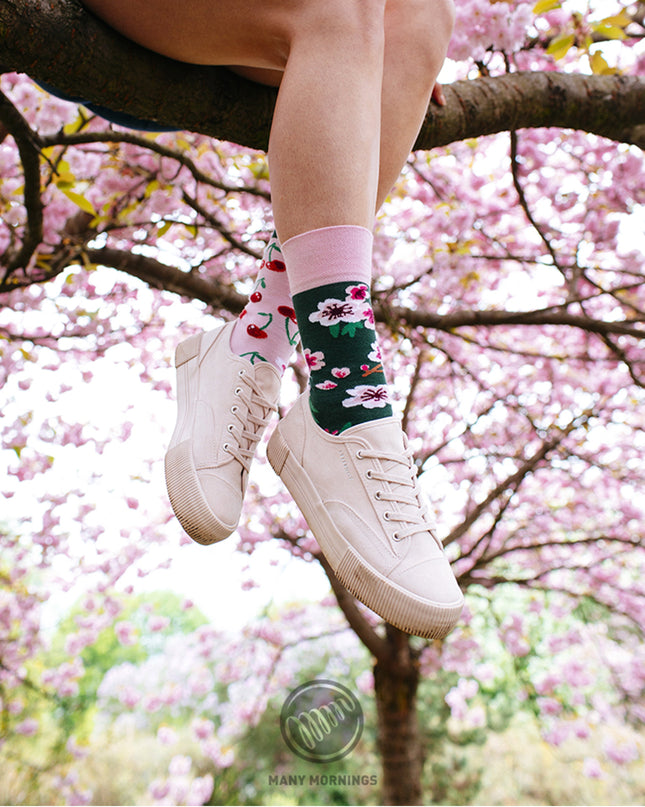 Cherry Blossom Fun Socks for All Ages