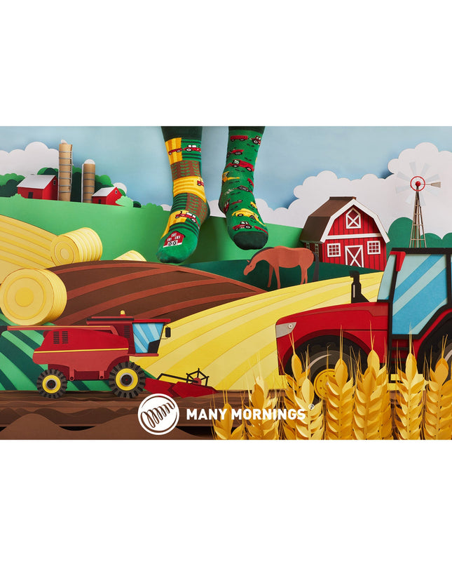 Happy Harvest Fun Socks for Everyone