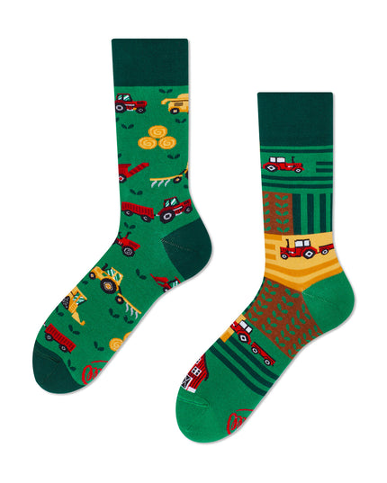 Happy Harvest Fun Socks for Everyone
