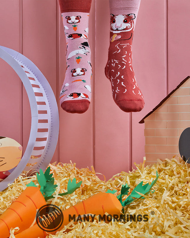Many Mornings Zokni - Miss Guinea Pig Fun Socks for Everyone