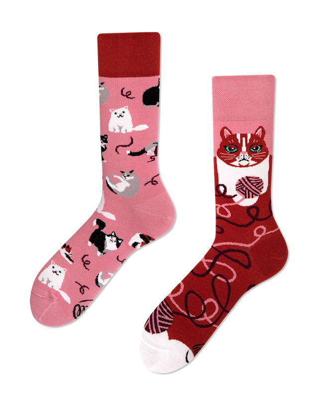 Playful Cat Fun Socks Collection by Many Mornings