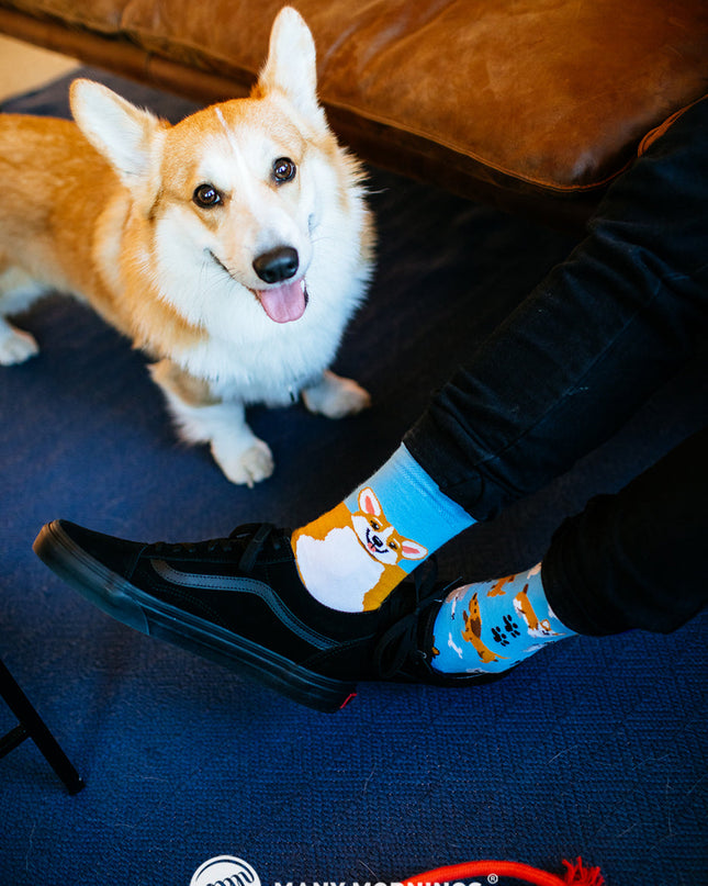 Many Mornings Zokni - Playful Dog Fun Socks Collection
