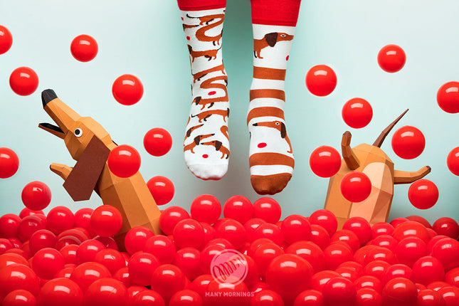Sausage Dog Fun Socks Collection by Many Mornings