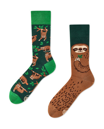 Sloth Life Fun Socks for All Ages