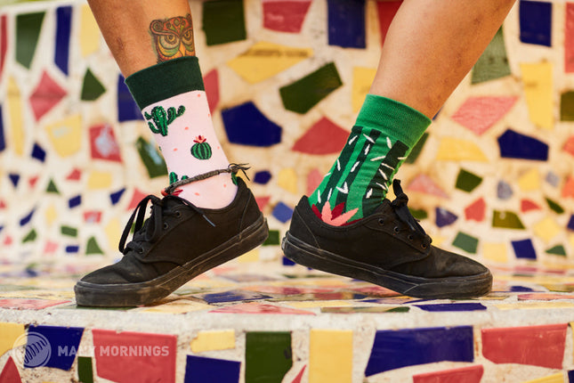 Summer Cactus Fun Socks for Everyone