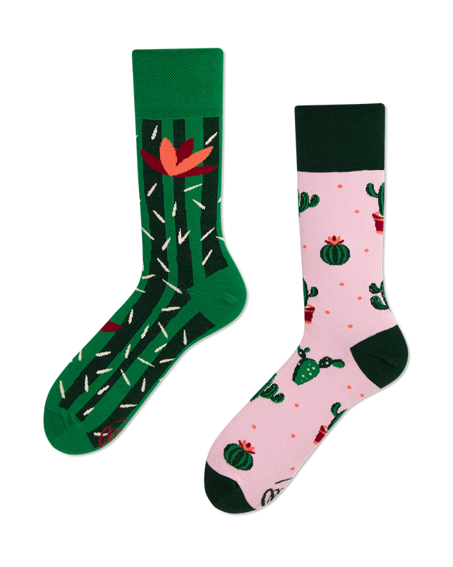 Summer Cactus Fun Socks for Everyone