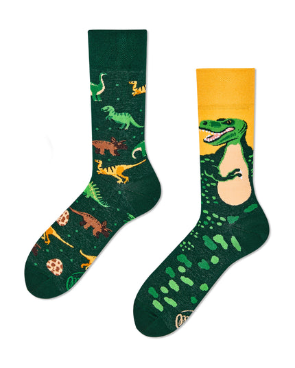 The Dinosaurs Fun Socks for Everyone