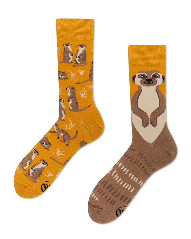 Many Mornings Zokni - The Meerkat Christmas Fun Socks Collection