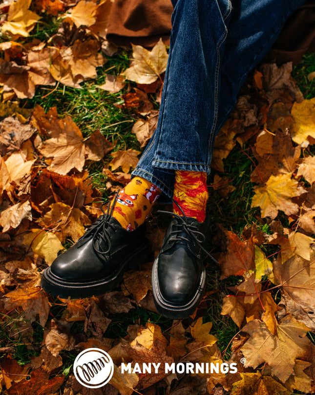 The Squirrels Fun Socks for Everyone