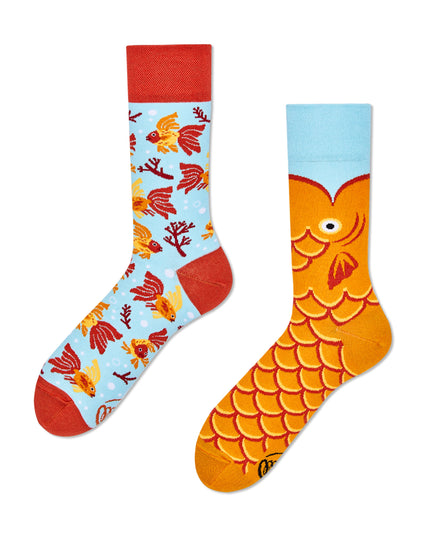 The Wish Fish Fun Socks for Everyone