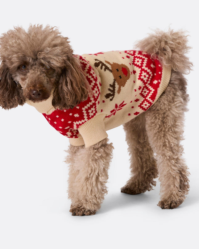 Dogs' Red Retro Reindeer Christmas Sweater