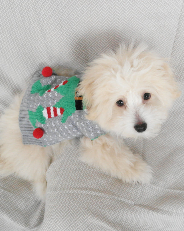 Gray Dog Christmas Sweater