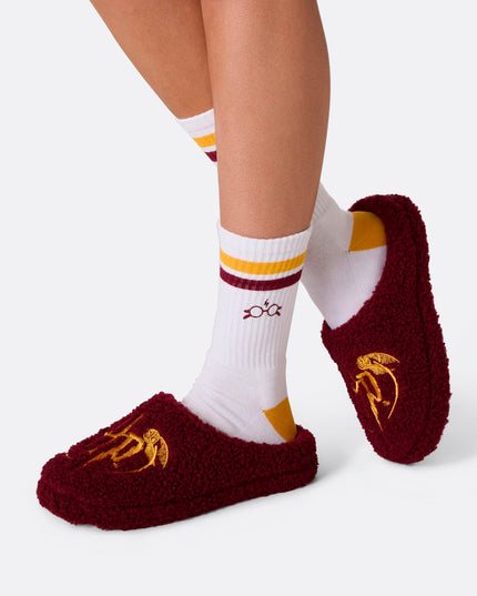 Pantuflas de Harry Potter