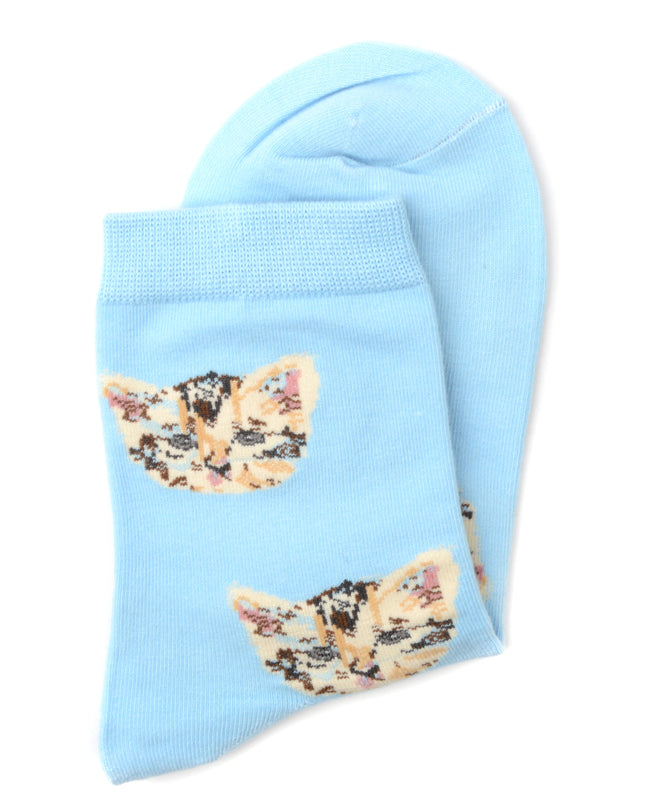 Cat Socks - Blue Fun