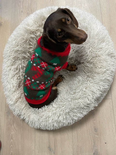 Brown Dog Christmas Sweater