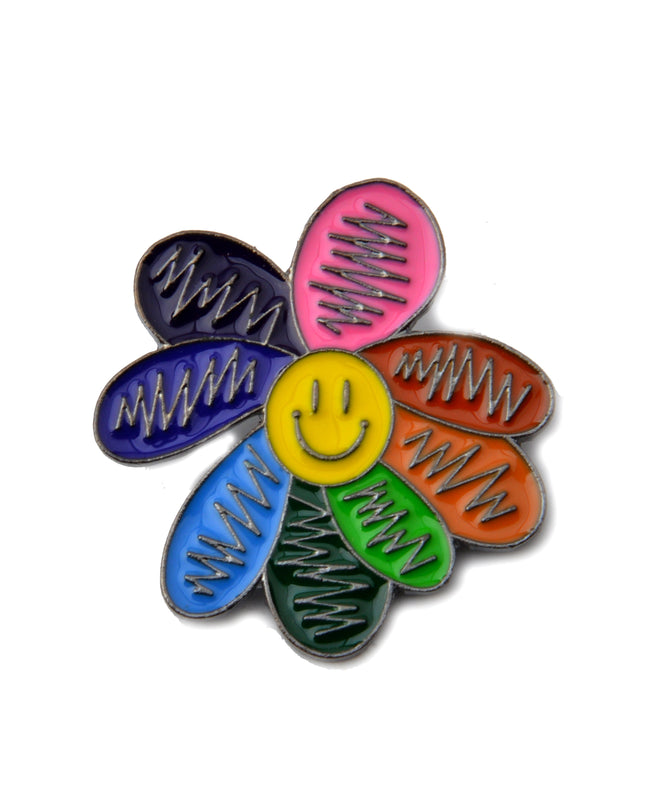 Rainbow Happy Flower Pin