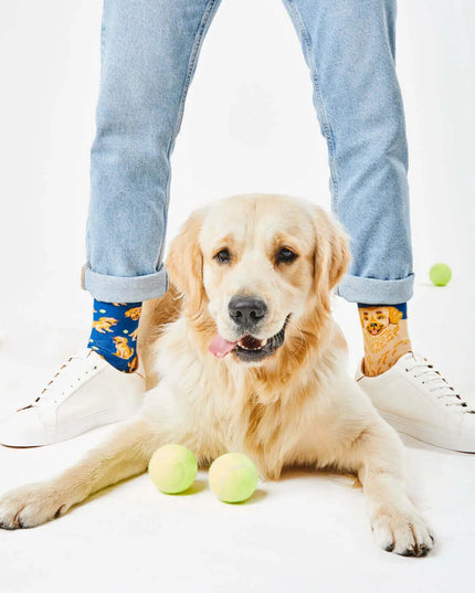 Many Mornings Socks - Golden Boy