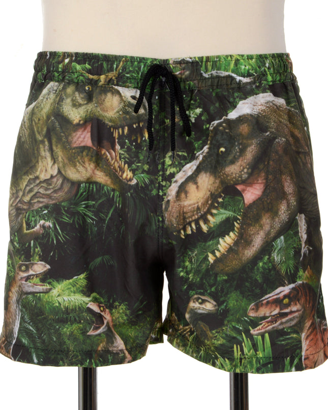 Fun Dinosaur Print Shorts
