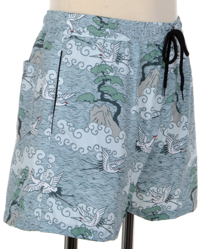 Stylish Darvas Shorts