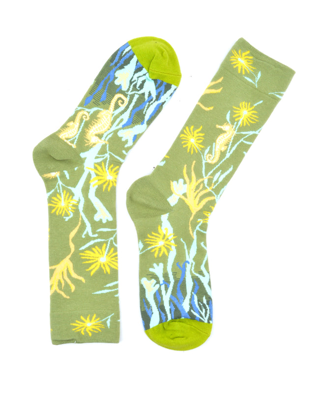 Seahorse Socks - Fun and Unique